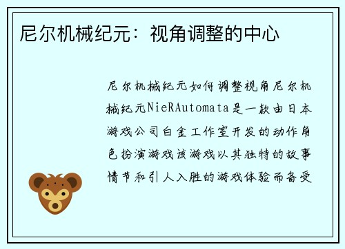尼尔机械纪元：视角调整的中心